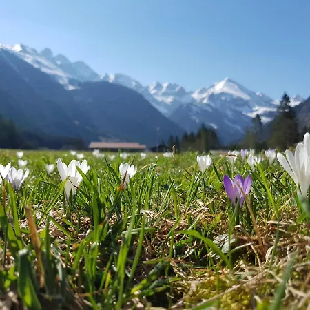 Apartment Alpentraum - Bergzeit Oberstdorf